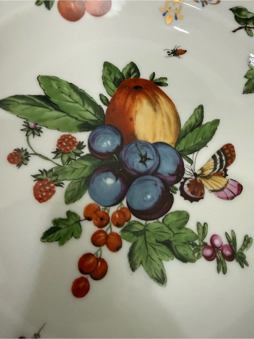 1 Duke of Gloucester by Mottahedeh Williamsburg Botanical Fruits 8
